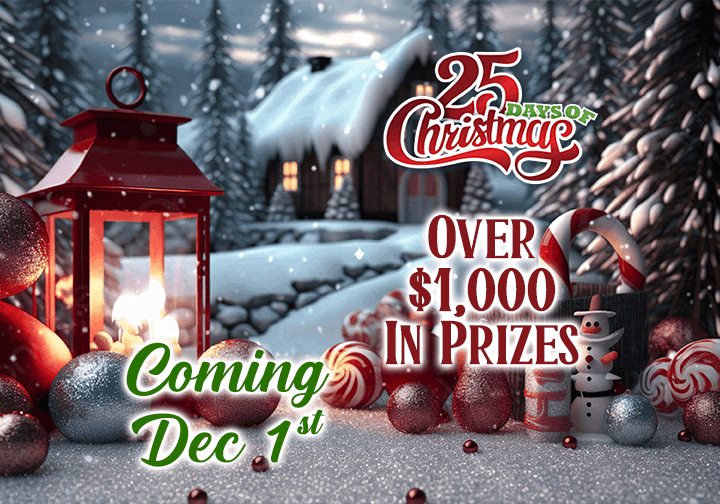 25 Days of Christmas